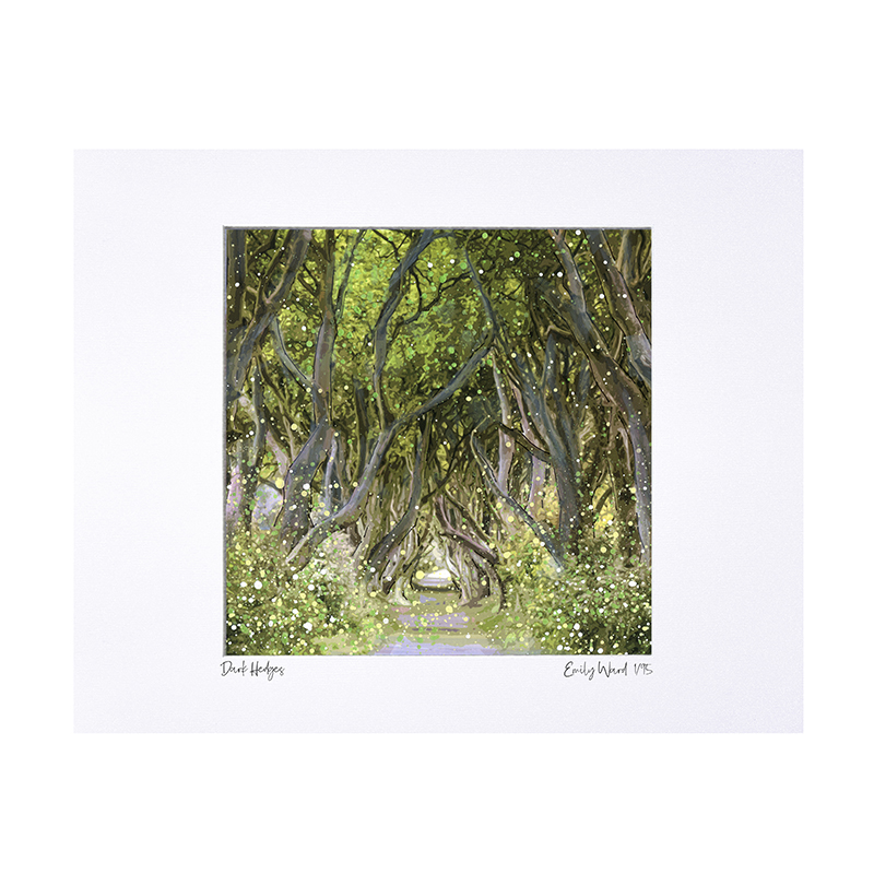 Dark Hedges, Ballymoney Limited Edition Print with Mount